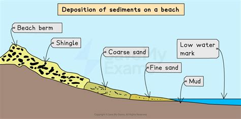 Beach Processes And Sedimentation