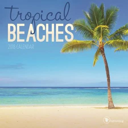 Beaches 2018 Mini Calendar