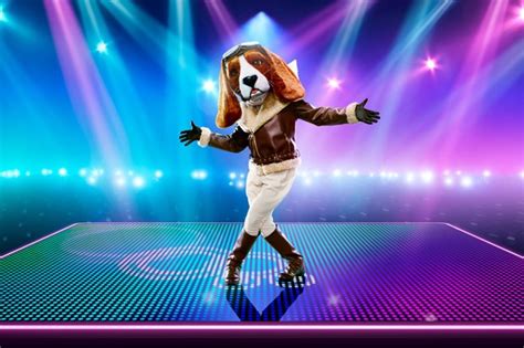 beagle dancing masked dancer