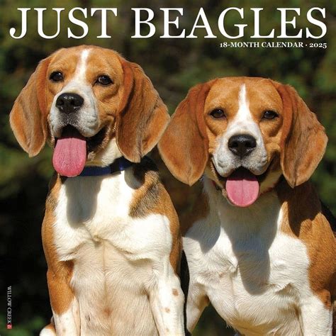 Beagles 2018 12 X 12 Inch Monthly Square Wall Calendar With Foil Stamped Cover Animals Dog Breeds Multilingual Edition