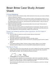 bean brew case study answers key