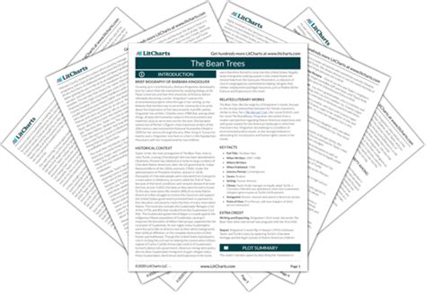 Read Bean Trees Summary Chapter 7 