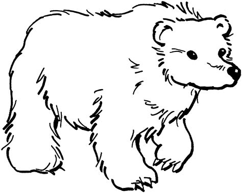 Bear Coloring Sheet Coloring Picture Of A Bear - Coloring Picture Of A Bear