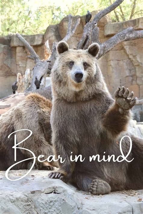 bear in mind