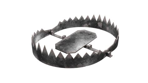 Bear Trap The Fall Of Bear Stearns And The Panic Of 2008