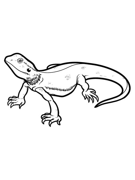 Bearded Dragon Coloring Pages Seacoloring Bearded Dragon Lizard Coloring Pages - Bearded Dragon Lizard Coloring Pages