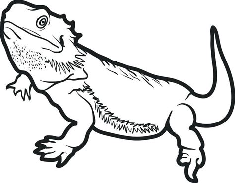 Bearded Dragon Lizard Coloring Page Easy Drawing Guides Bearded Dragon Lizard Coloring Pages - Bearded Dragon Lizard Coloring Pages