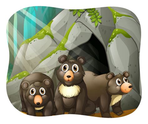 Bears In Caves Nz Maths Math Bears - Math Bears