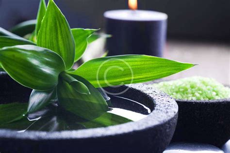 Instagram post by Leatha McDermott #7