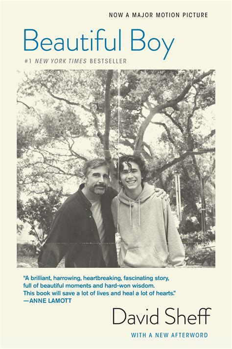 Beautiful Boy David Sheff
