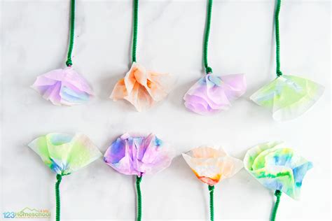 Beautiful Chromatography Flowers Science Project For Kids Science Experiments With Flowers - Science Experiments With Flowers