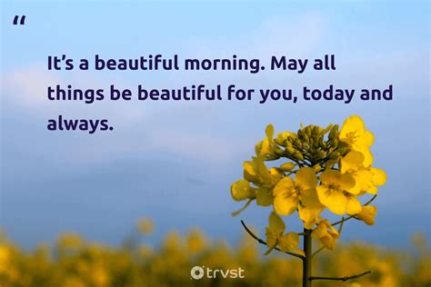 Beautiful Day Quotes