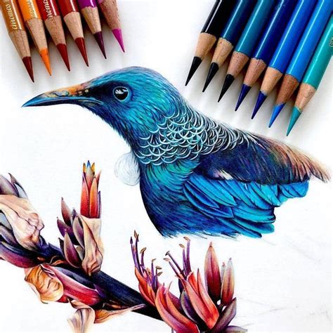 Beautiful Drawings With Colored Pencils On Trendy Art Drawing Ideas Nature Colourful Easy - Drawing Ideas Nature Colourful Easy
