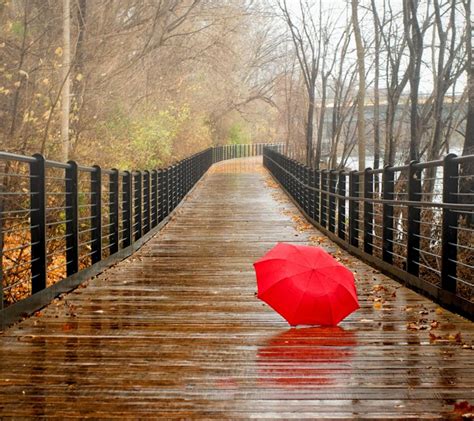 Beautiful Pictures Of Rainy Day