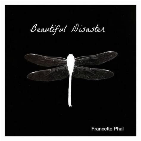 Read Beautiful Disaster The Bet 1 Francette Phal 