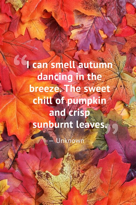 Beauty Of Autumn Quotes