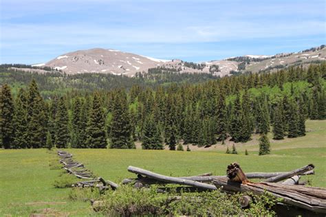 beaver utah