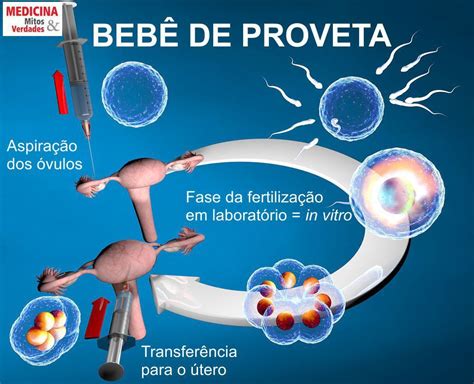Bebe De Proveta