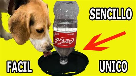 bebedero AUTOMATICO para mascotas FACIL - YouTube