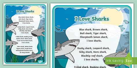 Because I Love Sharks