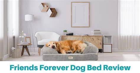 bed friends forever