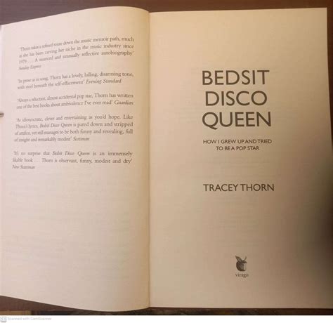 Bedsit Disco Queen: How I Grew Up And Tried To Be A Pop Star