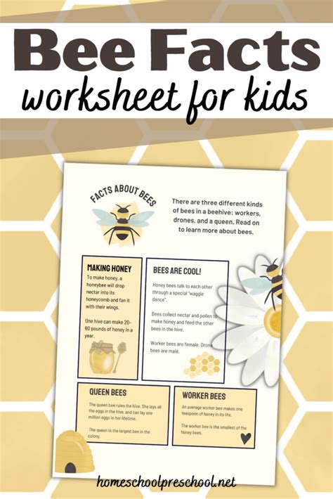 Bee Facts Worksheet Free Printable Download From Maya Bee Movie Worksheet - Bee Movie Worksheet