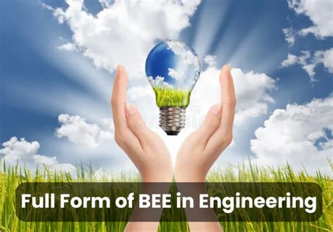 Bee Full Form