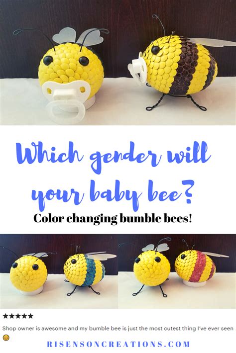 Bee Gender Change