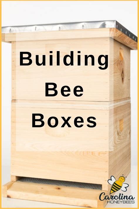 Download Bee Hive Construction Beekeeping Skills Training For 