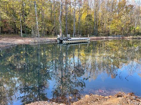 beech bluff tennessee