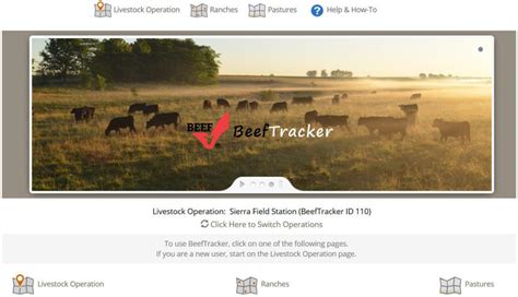 Beef Web Application
