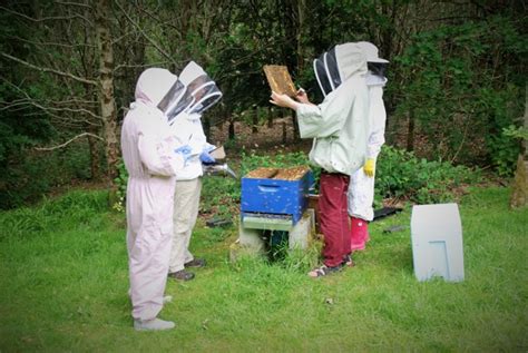 Beekeeping At Buckfast Abbey