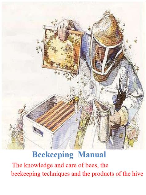 Beekeeping Guide Learn Beekeeping Techniques Of Building Bee Colonies With Common Mistakes Beehive Bee Keeping Keeping Bees Raw Honey Honey Bee Beekeeping Techniques Beekeeping Mistakes