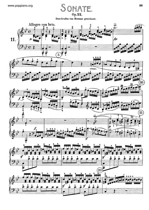 beethoven sonata 11