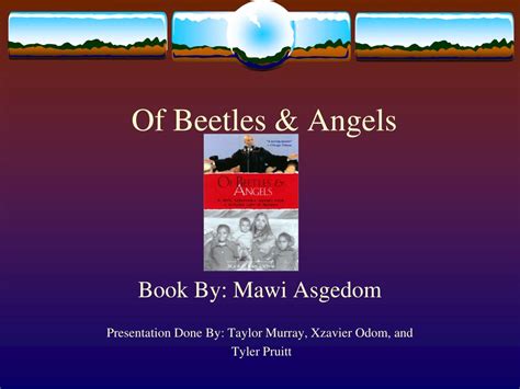 Beetles And Angels Codex