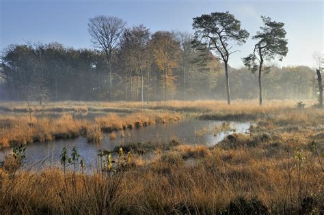 beffen utrechtse heuvelrug