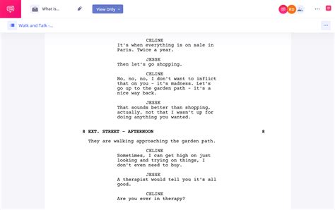Before Sunset Script