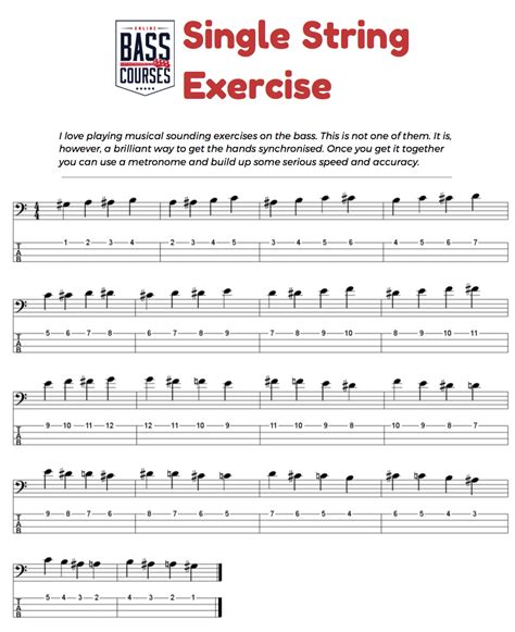 Beginner Bass Exercises