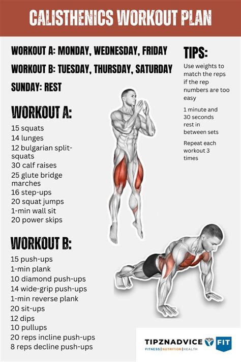 Beginner Calisthenics Workout Plan