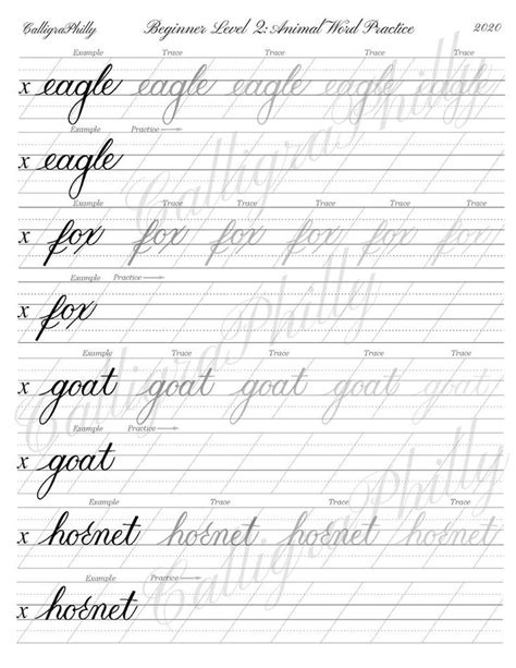 Beginner Level 2 Calligraphy Word Practice Worksheet Blank Quote Sandwich Practice Worksheet - Quote Sandwich Practice Worksheet