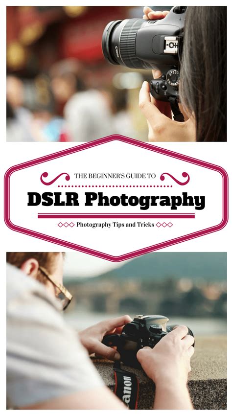 Download Beginner Guide To Dslr Photography 