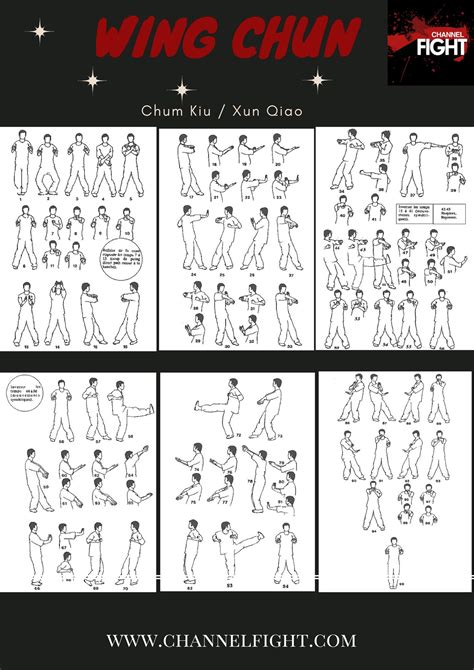 Beginners Guide To Wing Chun