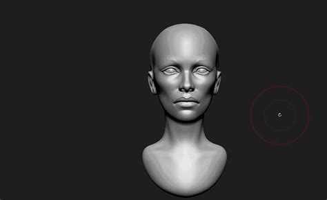 Beginner's Guide To Z Brush