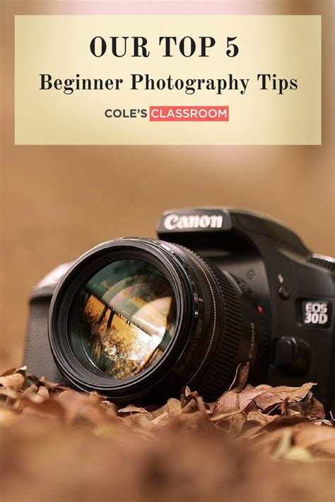 Read Beginners Guide To Digital Photography 