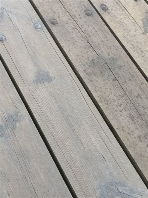 behandling av nylagd trall