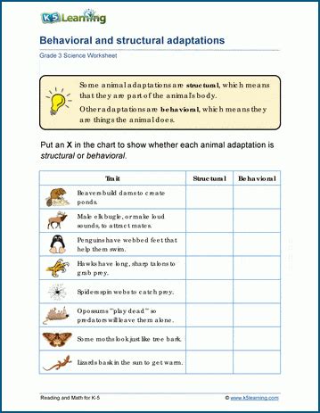 Behavioral Adaptations Worksheets K5 Learning Adapatations Worksheet 3rd Grade - Adapatations Worksheet 3rd Grade