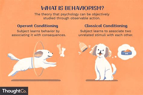 Behaviorism And Ethics