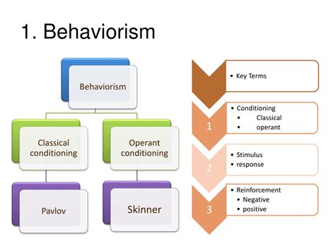 Behaviorist Theory On Language Acquisition