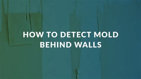 Behind The Walls